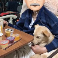 寄り添う犬2