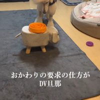 お皿を見下ろして…