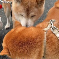 エールを送っていたのかも？