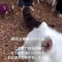 自分から近づいてくるように！