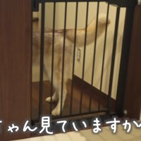 にこちゃんはそっぽを向いちゃった…！