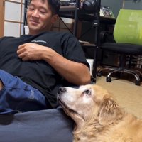 きんちゃんと飼い主さんのやり取り4