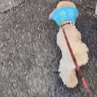 爽やかさ溢れるブルー