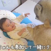 あたりをクンクン
