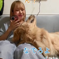 催促する麹くん