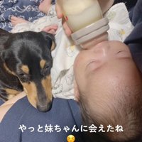 ミルクを飲む赤ちゃんに寄り添うワンコ