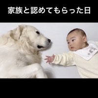 全てを受け入れています