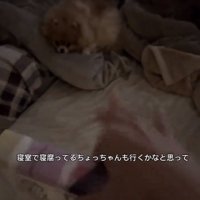 ちょっちゃんを誘う飼い主さん