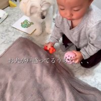 リリちゃんと赤ちゃん9