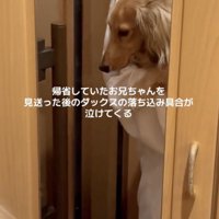 またすぐ会えるといいね