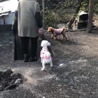おばあちゃんのお墓参りへ