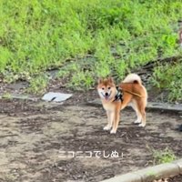 笑顔の福ちゃん