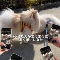鼻ツンしてエール