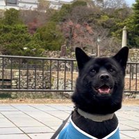 母作の衣装を着る信玄くん6