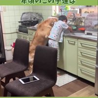 作業をしている真っ最中