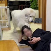 なかなかの重量感…