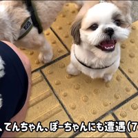 さらに2匹きました