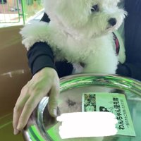 おやつより、景色が気になる