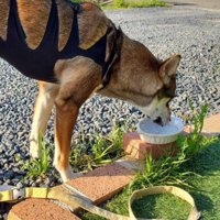 ちょっぴり切ない後ろ姿…