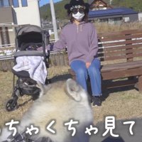 目が合ったのにスルー！！