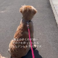次女さんと距離が出来ちゃった