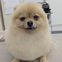 つまらなそう…！？