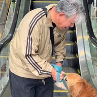 大型犬が苦手なもの