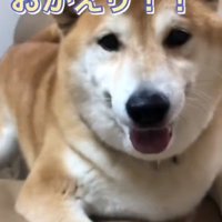 おかえりを言う福くん