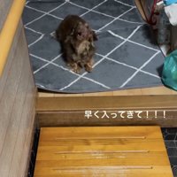 おしゃべりタイム、スタート