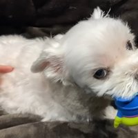 満足そうなお顔♪