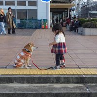 まーちゃんがそばに来て…