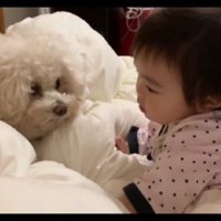 幼い頃の女の子と