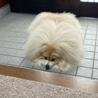 四角