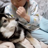 見つめあう2人