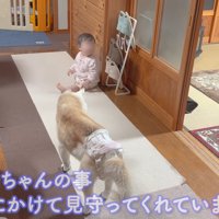 見守り担当です