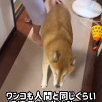 微笑ましい関係性にホッコリ