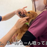 ジャンボくんは文句が止まりません