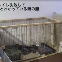 可愛くて怒れません♡