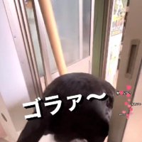 整いに行っちゃった！？