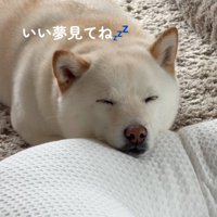 眠るカナちゃん