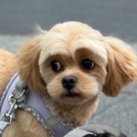 人間味がぐんと増した