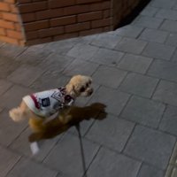 お散歩で気分転換♪