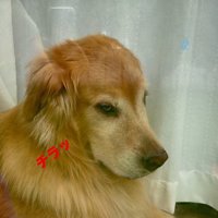 分かりやすい態度にクスッ