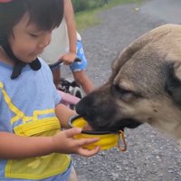 水を飲むふくすけ君