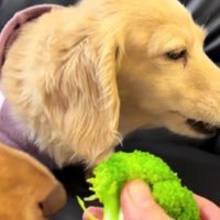 ゆっくりとフレームイン