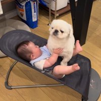 泣いちゃうかも…？