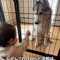 赤ちゃんが待機
