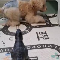 恐竜襲来に大パニック！！