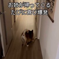お姉ちゃんを熱烈歓迎するけいちゃん