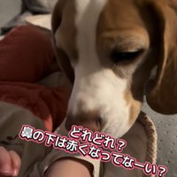 いさき君のチェックが入ります！
